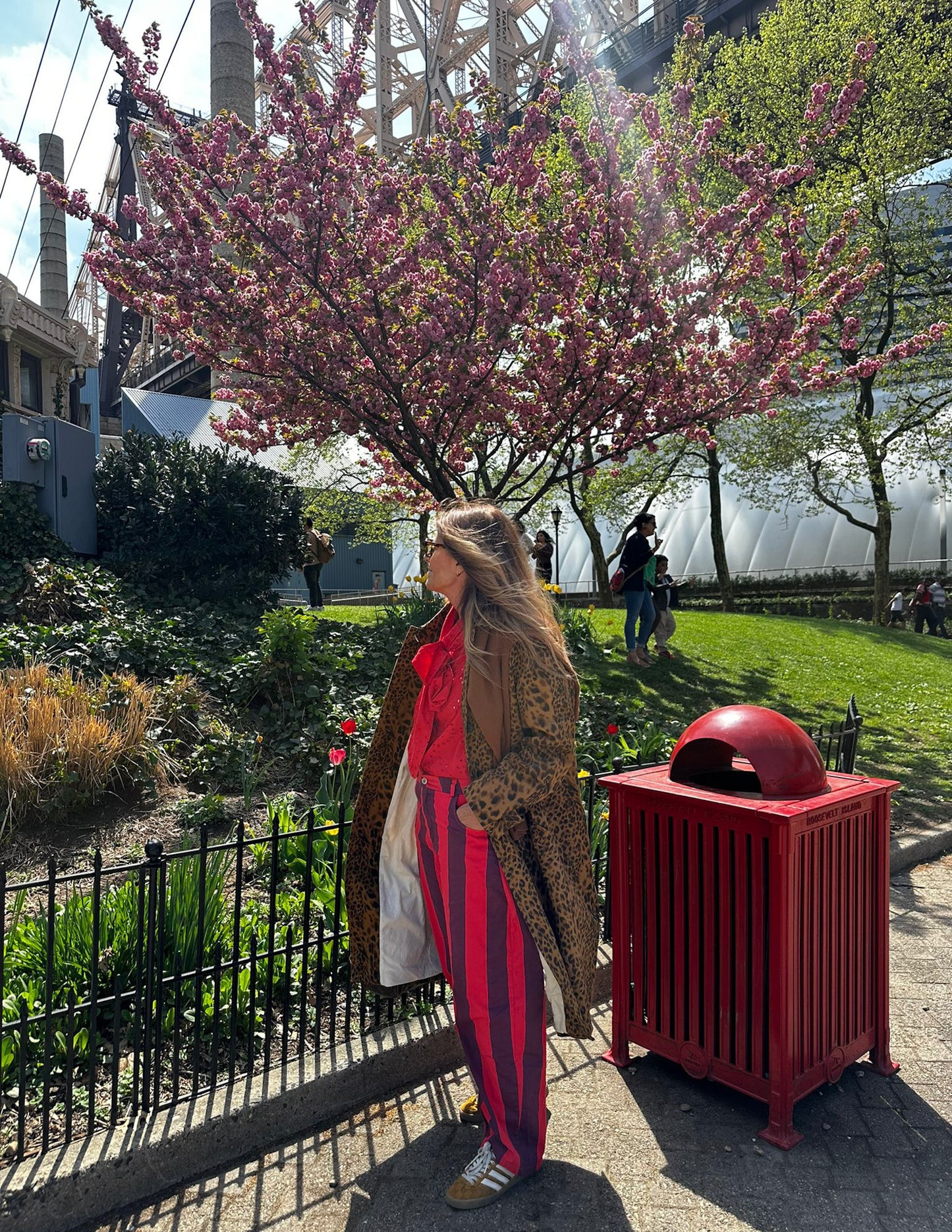 Striped red trousers